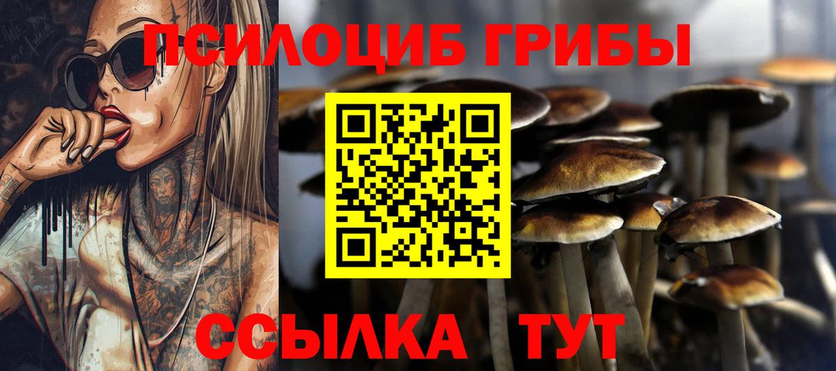 Псилоцибиновые грибы Cubensis  Вход с VPN  Горячий Ключ 