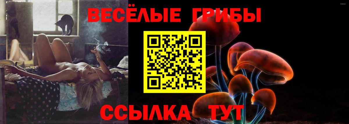 Псилоцибиновые грибы мухоморы Горячий Ключ